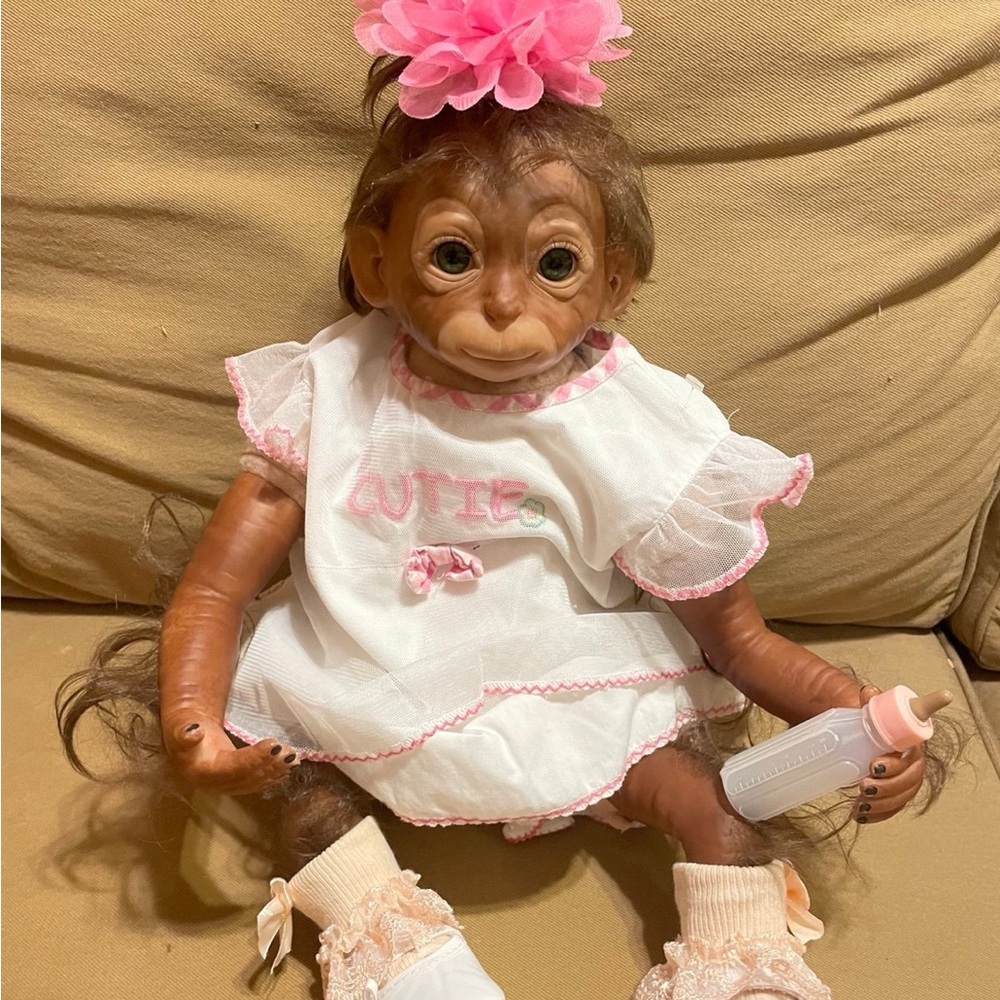 Baby monkey girl o boy